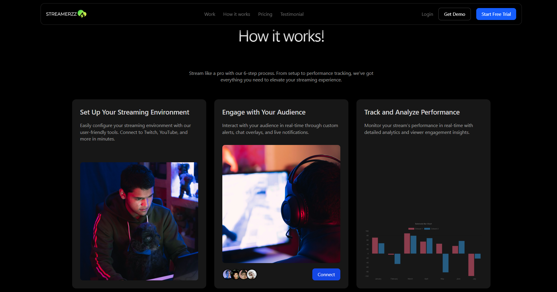 Project Streamerzz image 17